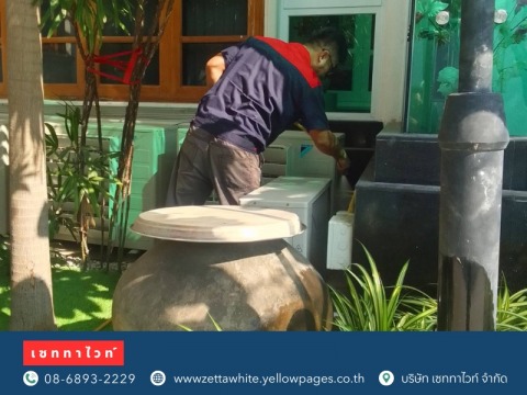 กำจัดปลวกด้วยสมุนไพร ด้วยวิธีออร์แกนิค